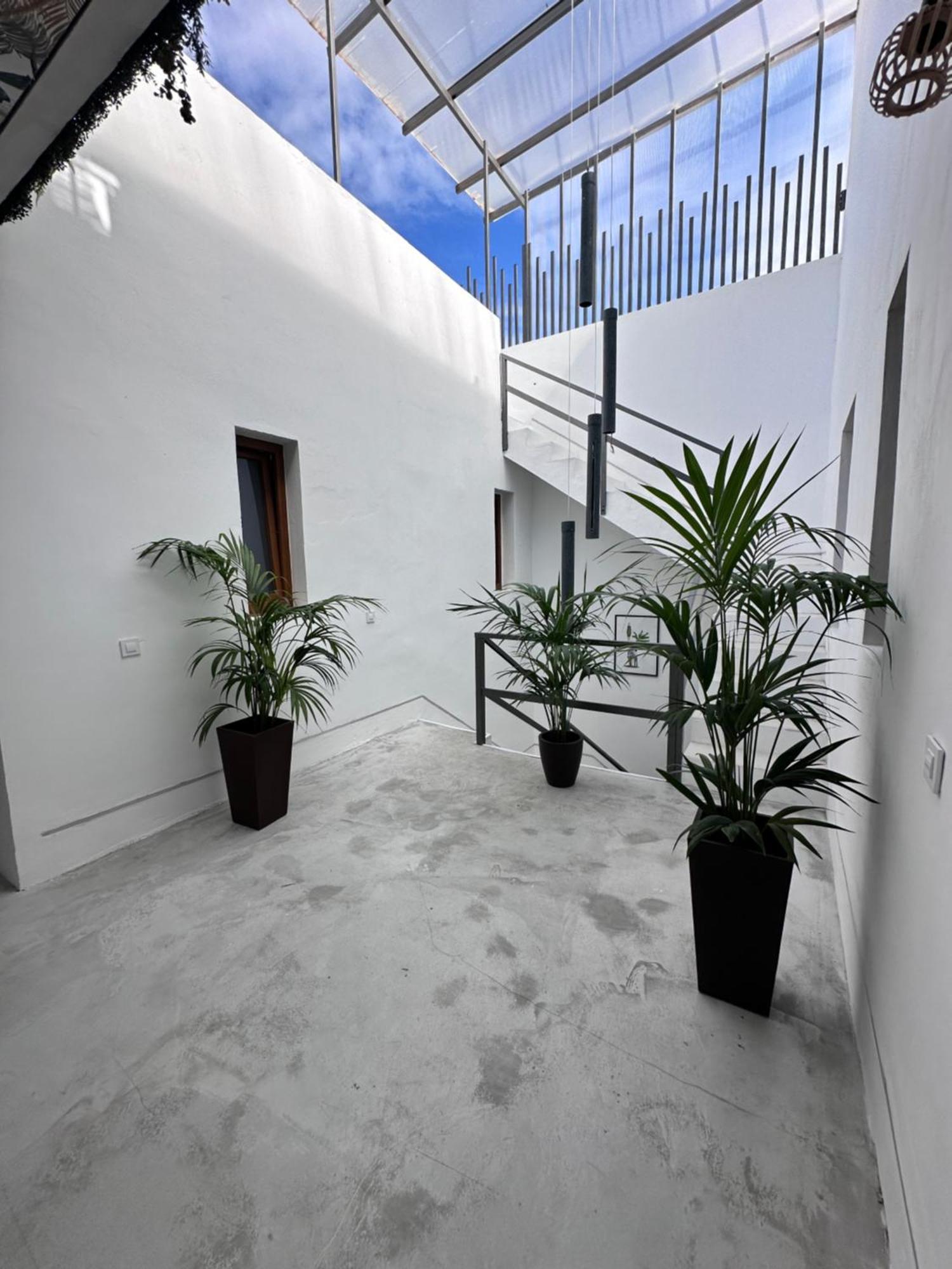 Euphorbia Suites Los Silos Dış mekan fotoğraf